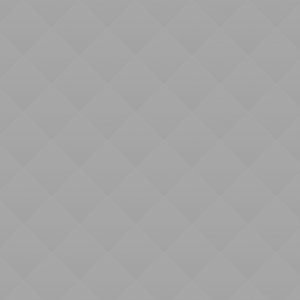 We Do Not Lose Heart!